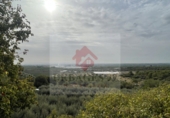 Xalet independent amb terreny en venda a Borriol ref.: TR81236 foto