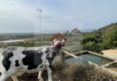 Xalet independent amb terreny en venda a Borriol ref.: TR81236 foto