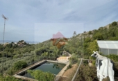 Xalet independent amb terreny en venda a Borriol ref.: TR81236 foto