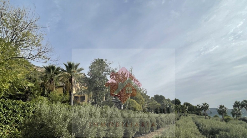 Castellón - Urbanización Masía Gaetà - 29916m2