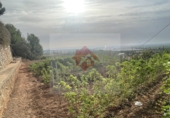 Xalet independent amb terreny en venda a Borriol ref.: TR81236 foto