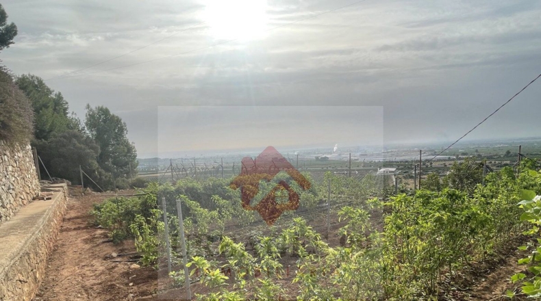 Castellón - Urbanización Masía Gaetà - 29916m2