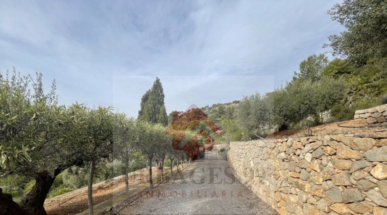 Castellón - Urbanización Masía Gaetà - 29916m2