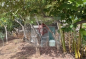 Xalet independent amb terreny en venda a Borriol ref.: TR81236 foto
