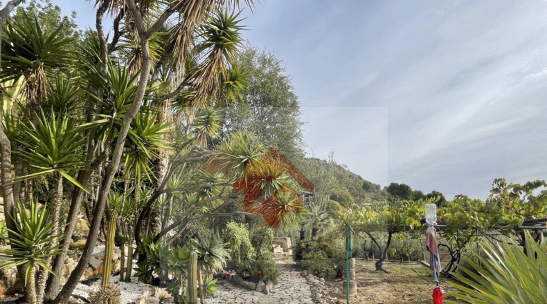 Castellón - Urbanización Masía Gaetà - 29916m2