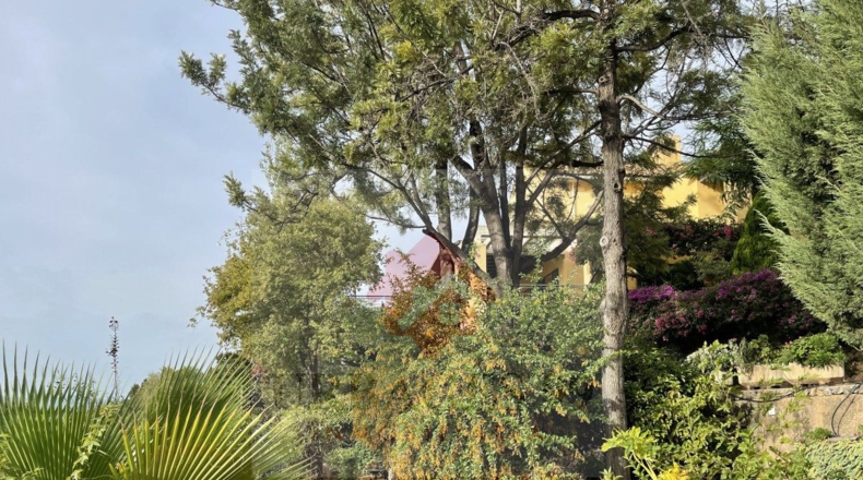 Castellón - Urbanización Masía Gaetà - 29916m2