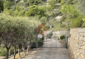 Xalet independent amb terreny en venda a Borriol ref.: TR81236 foto