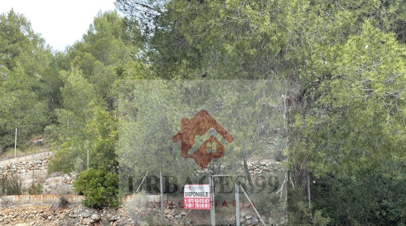 Castellón - Urbanización Monte Cristina - 1450m2