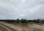Terreno no urbanizable en venta en Castellón de la Plana ref: TR105296 foto
