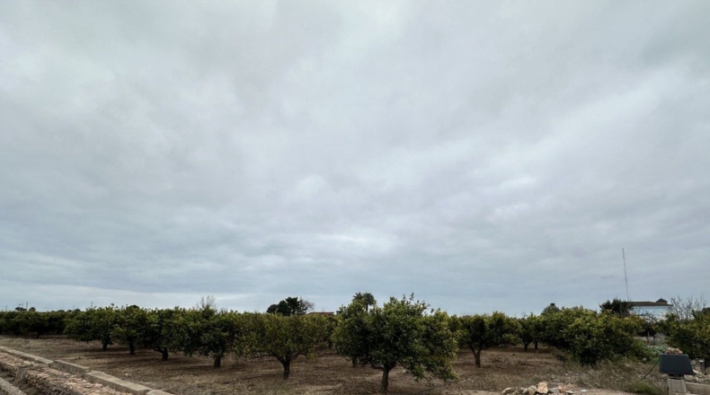 Castellón - Castellón de la Plana - 3210m2