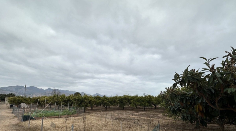 Castellón - Castellón de la Plana - 3210m2