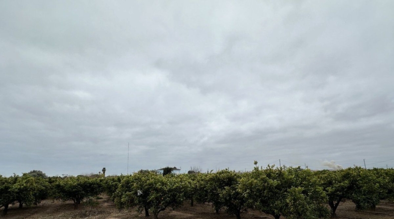 Castellón - Castellón de la Plana - 3210m2