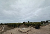 Terreno no urbanizable en venta en Castellón de la Plana ref: TR105296 foto