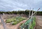 Terreno no urbanizable en venta en Castellón de la Plana ref: TR105296 foto