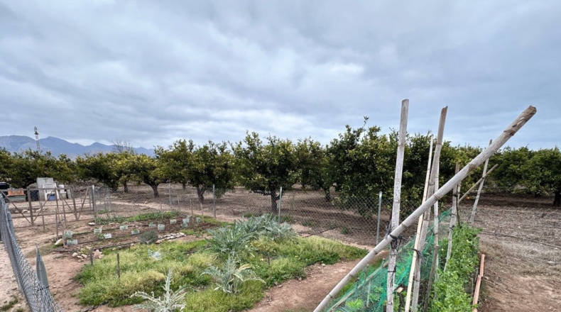 Castellón - Castellón de la Plana - 3210m2