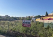 Terreny no urbanitzable en venda a Castelló de la Plana ref.: TR341522 foto