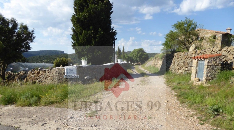 Castellón - Castellón de la Plana - 14000m2