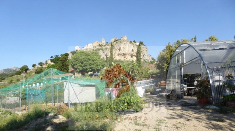Castellón - Castellón de la Plana - 14000m2