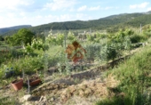 Masia amb terreny en venda a Castelló de la Plana ref.: TR104105 foto