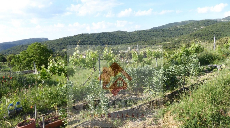 Castellón - Castellón de la Plana - 14000m2