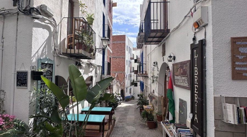 Castellón - Peñíscola - 228m2