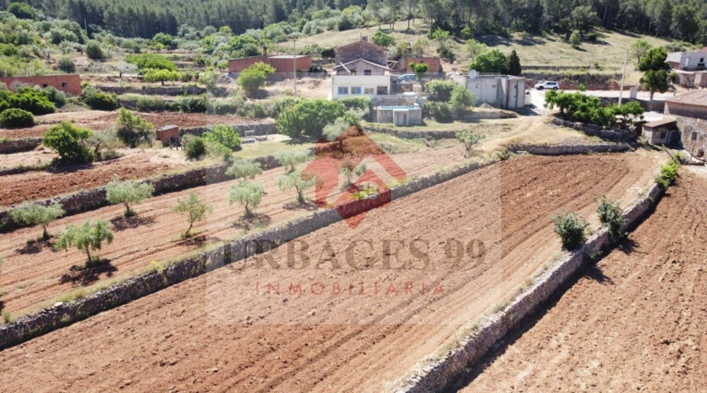 Castellón - Atzeneta del Maestrat - 14429m2