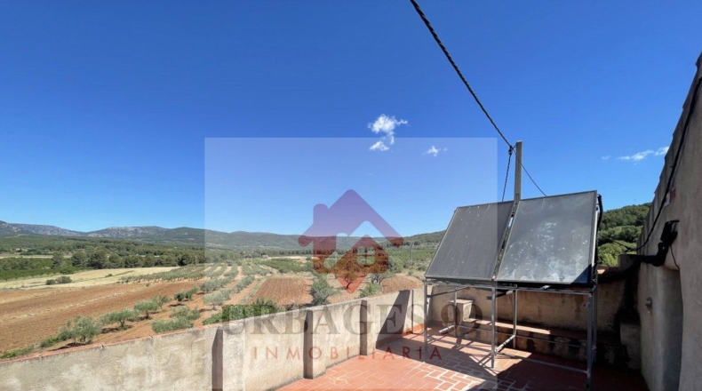 Castellón - Atzeneta del Maestrat - 14429m2