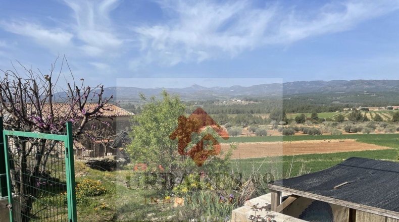 Castellón - Atzeneta del Maestrat - 14429m2