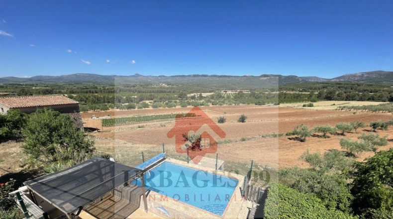 Castellón - Atzeneta del Maestrat - 14429m2