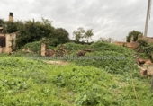 Sòl urbà en venda a la España, Agoncillo, ref.: TR53826 foto