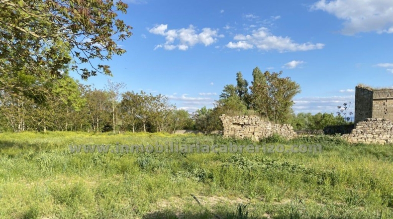Navarra - Viana - 9000m2