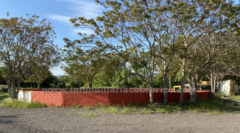 Navarra - Viana - 9000m2
