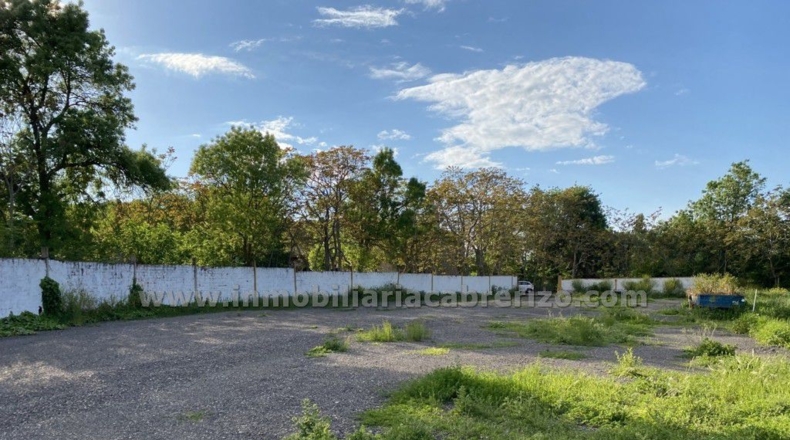 Navarra - Viana - 9000m2