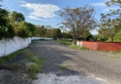 Terreny no urbanitzable en lloguer a la España, Viana, ref.: TR232765 foto