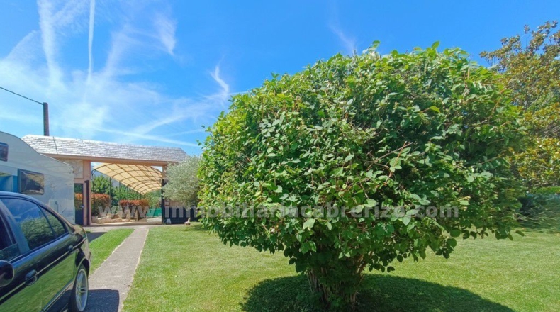 La Rioja - Nalda - 260m2