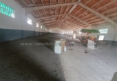 Industrial warehouse for rent in Logroño ref: TR321592 photo