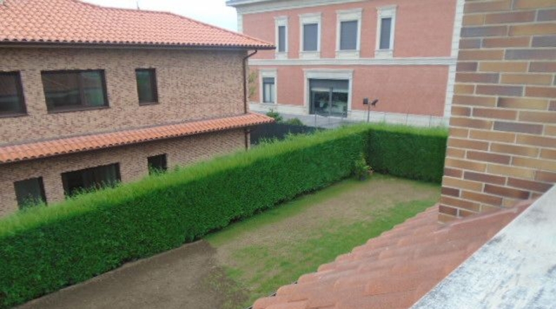 Asturias - Oviedo - 800m2