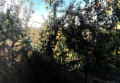Chalet independiente con terreno en venta en El Caleyo ref: TR14981 foto