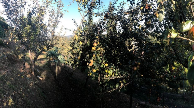 Asturias - Ferreros - 3000m2