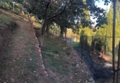 Chalet independiente con terreno en venta en El Caleyo ref: TR14981 foto