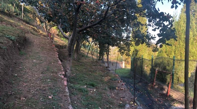 Asturias - Ferreros - 3000m2