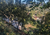Chalet independiente con terreno en venta en El Caleyo ref: TR14981 foto
