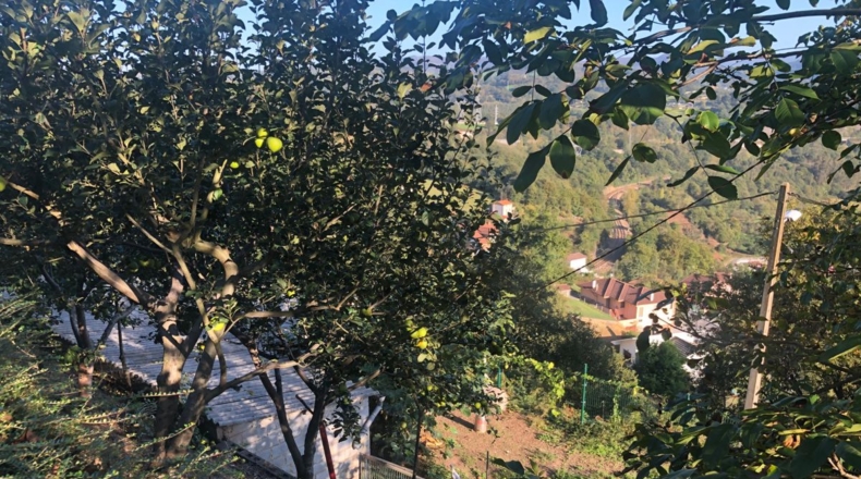 Asturias - Ferreros - 3000m2