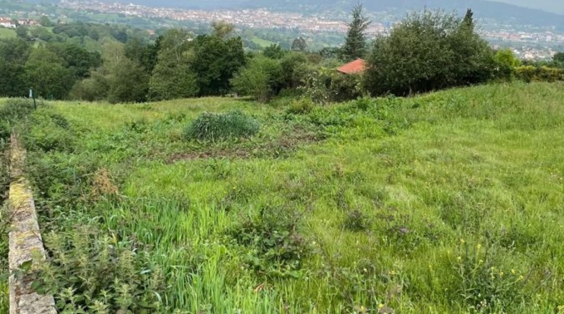 Asturias - Faro - 1300m2