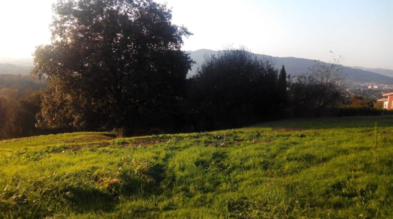 Asturias - Faro - 1300m2