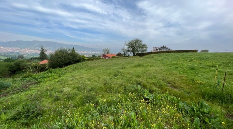 Asturias - Faro - 1300m2