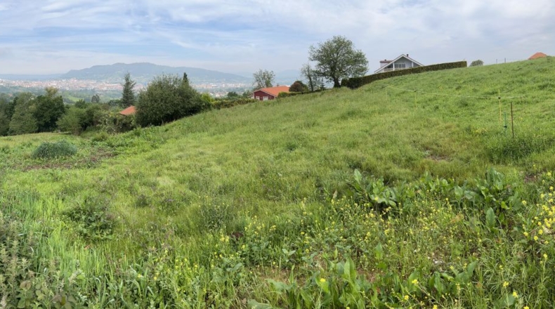 Asturias - Faro - 1300m2