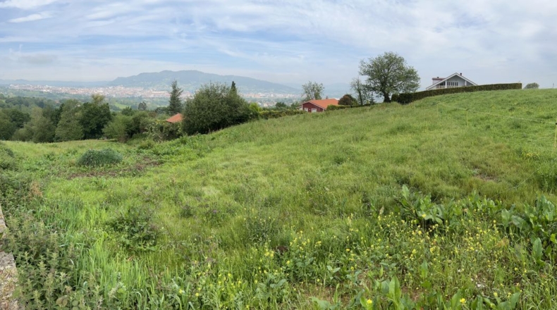 Asturias - Faro - 1300m2