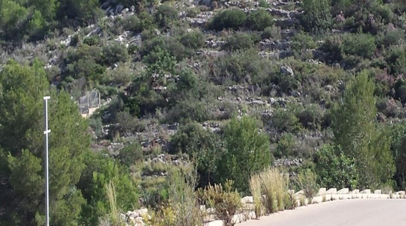 Alicante - Denia - 950m2