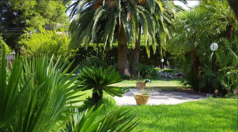 Alicante - Denia - 5000m2